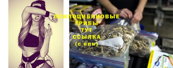 тгк Касимов