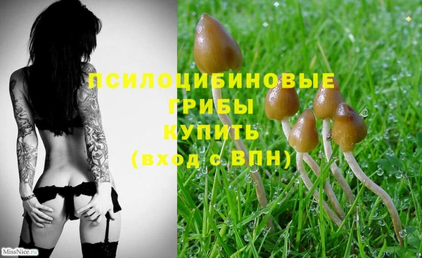 тгк Касимов