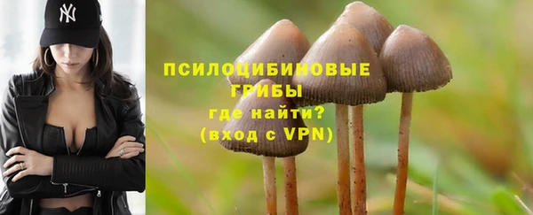 экстази Карпинск