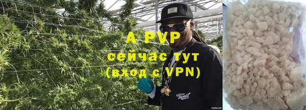 тгк Касимов