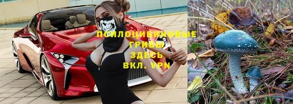 прущие крисы Каменногорск